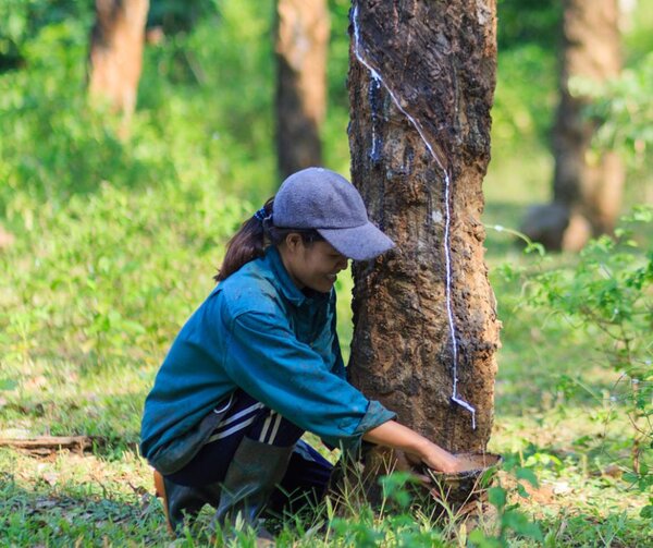 Smallholders and civil society must be an integral part of EU support for Vietnam’s due diligence implementation