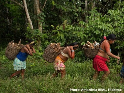 The EU must use trade levers to halt Brazil’s assault on forests and peoples