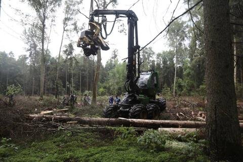 Białowieża forest struggle is symptomatic of a greater ill