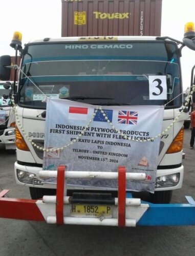 A new beginning in the fight against illegal timber