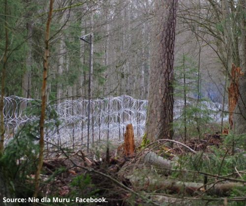 Commission response urgently needed: A wall on the Polish-Belarus border threatens Białowieża Forest
