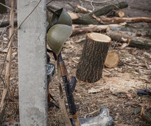 120+ human rights, environmental and diaspora groups call on governments to ban Russian and Belarusian wood imports