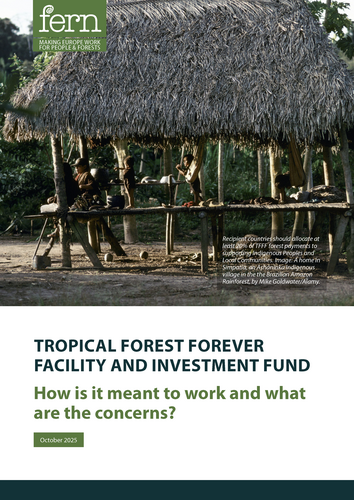 Tropical Forest Forever Facility and Investment Fund: How is it meant to work and what are the concerns?