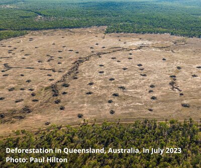 The EU can help Australia face its deforestation issues