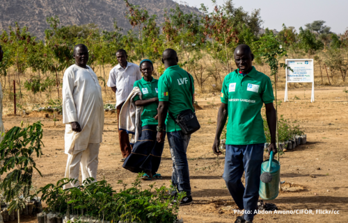 What is community forestry?