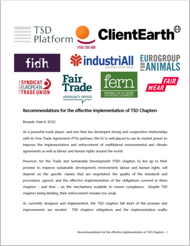 Recommendations for the effective implementation of TSD Chapters