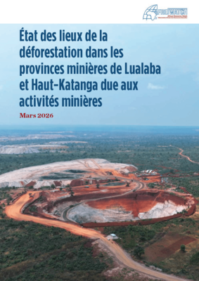 [Translate to French:] Assessment of deforestation in the mining provinces of Lualaba and Haut-Katanga
