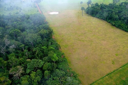 Indigenous leaders and human rights defenders demand urgent EU action on deforestation