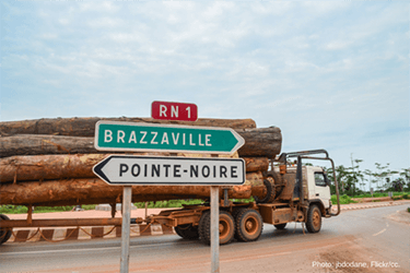 Forest revenue transparency: Republic of Congo and the EU must do more