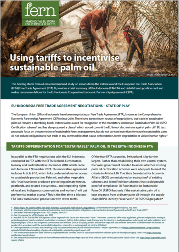 Using tariffs to incentivise sustainable palm oil