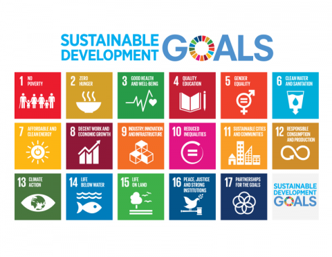 SDG Communications: Commission overlooks forests