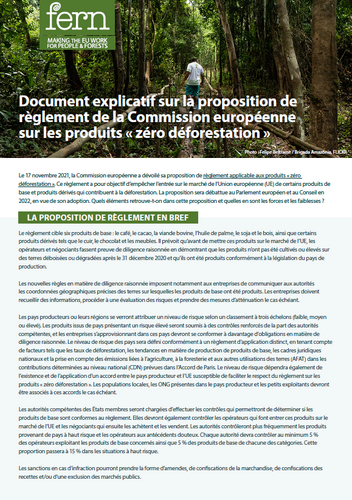 Réponse de Fern à la proposition de règlement sur les produits zéro déforestation