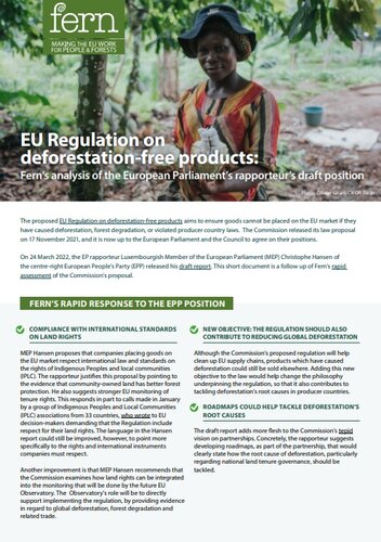Fern’s analysis of the European Parliament's rapporteur's draft position on the EU Regulation on deforestation-free products