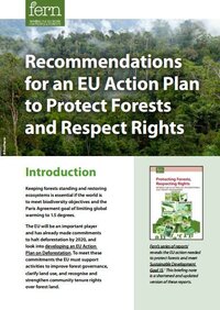 Recommendations for an EU Action Plan to Protect Forests and Respect Rights