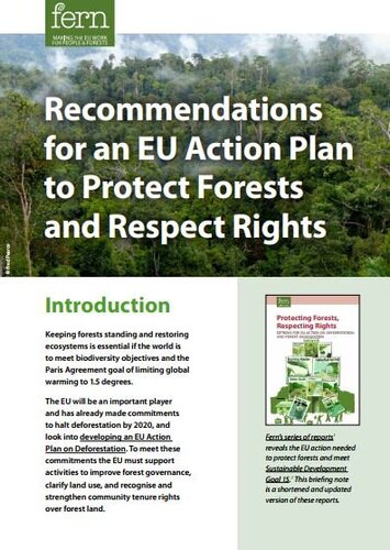Recommendations for an EU Action Plan to Protect Forests and Respect Rights