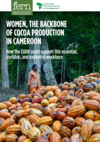 Women, the backbone of cocoa production in Cameroon