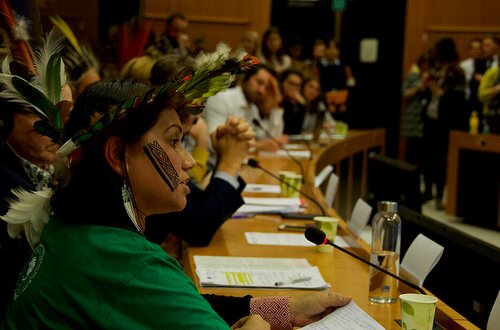 Forest Watch 250 - November 2019
