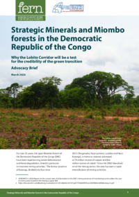Strategic Minerals and Miombo forests in the Democratic Republic of the Congo