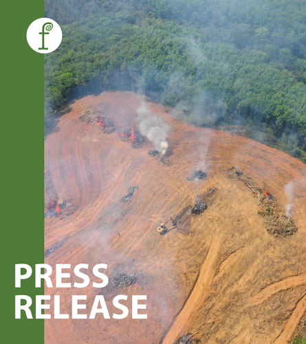 The EU’s will to tackle its forest footprint is in danger of collapsing