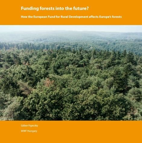 Funding forests into the future. The case of Hungary.
