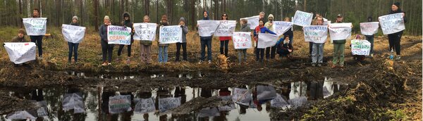 Mowing down Estonia’s forest: the Renewable Energy Directive’s unintended consequences