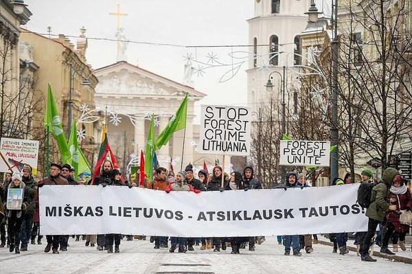 Increased clearcutting in Lithuania’s Natura 2000 sites demands a rapid response
