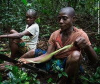 EU Law on deforestation: Key land rights risk being ignored in DG Environment’s proposal