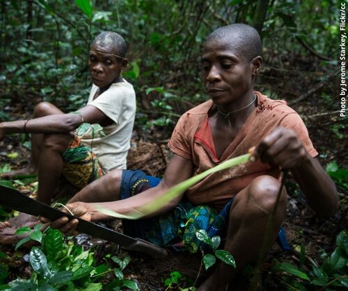 EU Law on deforestation: Key land rights risk being ignored in DG Environment’s proposal