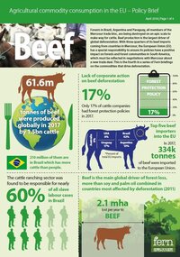 EU consumption of beef and deforestation