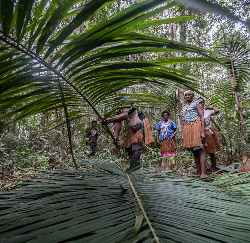 EUDR: Looking beyond the canopy to consider the human aspects of trade