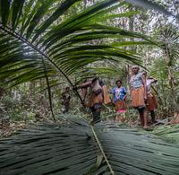 EUDR: Looking beyond the canopy to consider the human aspects of trade