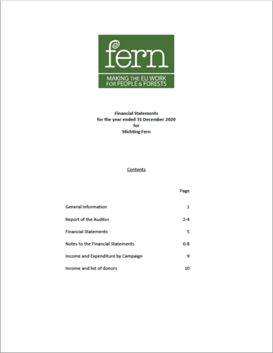 Financial Statements for the year ended 31 December 2020