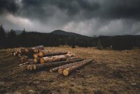 The European Parliament on climate: Blow hot, blow cold