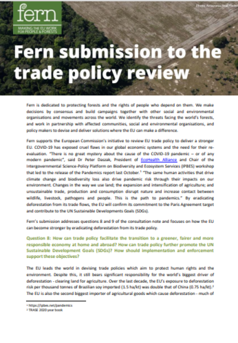 Fern’s submission to the trade policy review
