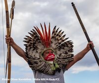 Ending the onslaught on the Amazon