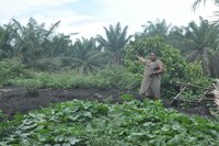 Hope is fading for a binding instrument on human rights and transnational corporations