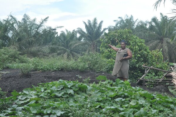 Hope is fading for a binding instrument on human rights and transnational corporations