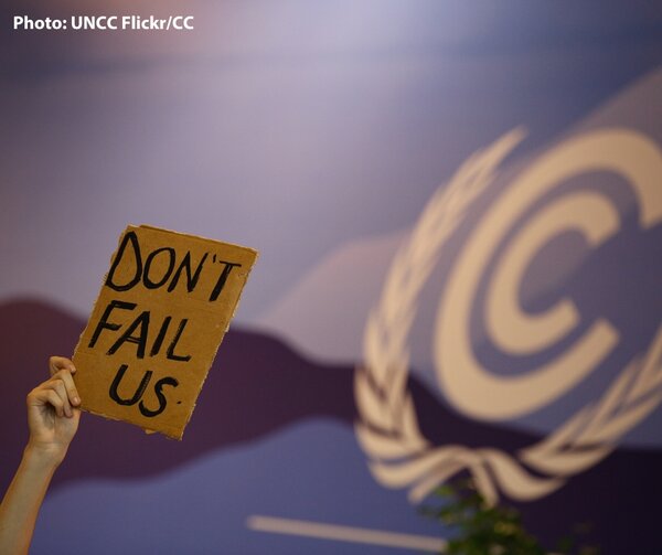 Forests at the climate conference COP27