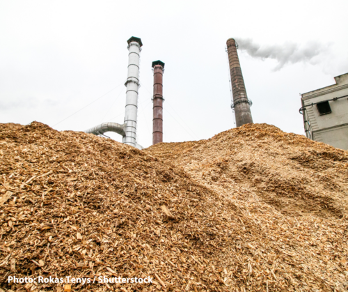 Latest evidence on the destructive climate and health impact of biomass subsidies and wood burning