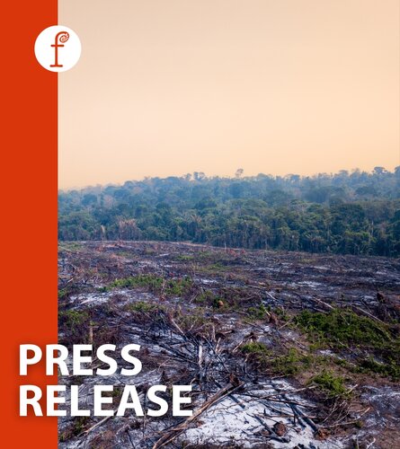 Overwhelming majority of Europeans surveyed in new poll say strong law enforcement needed to combat deforestation
