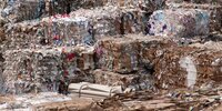 Forest Watch 288 - September 2023