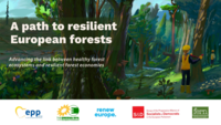 A path to resilient European forests: presentations
