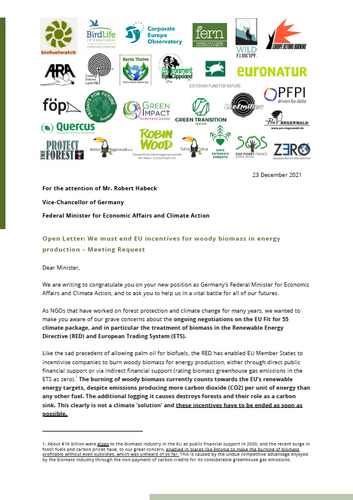 NGOs send an Open Letter to German Minister Habeck: "We must end EU incentives for woody biomass in energy production"