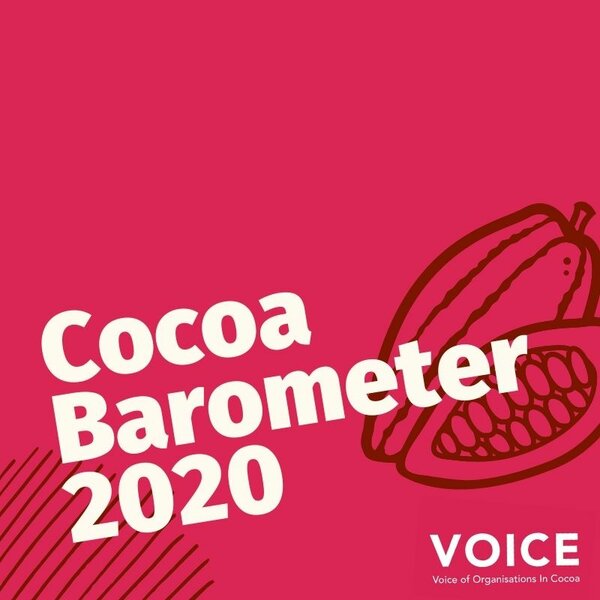 Cocoa Barometer 2020 demands system change to end cocoa poverty