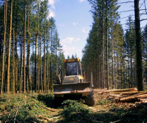 Deforestation and Nature Restoration Regulations: necessary, yet under threat