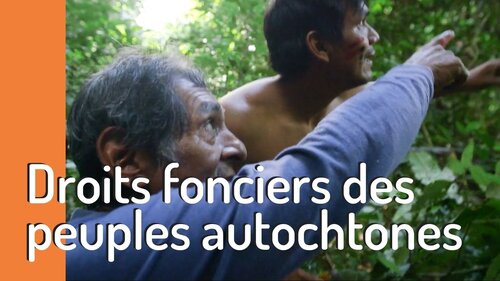 3 reasons land tenure is vital for forests, people and the planet