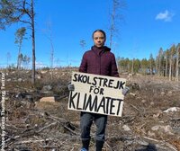 What to expect when you’re forest campaigning: Upcoming EU Forest policy developments