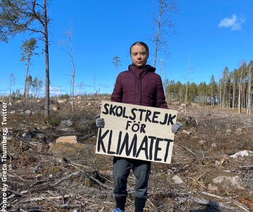 Greta Thunberg standing on a clearcut in central Sweden, to draw attention to Sweden's unsustainable forest management model. Public pressure around the harmful impacts of bioenergy is growing as the EU recasts its Renewable Energy Directive this year.