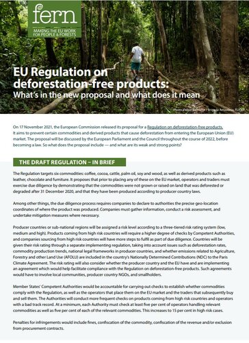 Fern’s response to the proposed Regulation on deforestation-free products