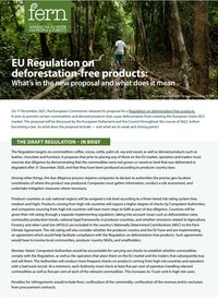 Fern’s response to the proposed Regulation on deforestation-free products